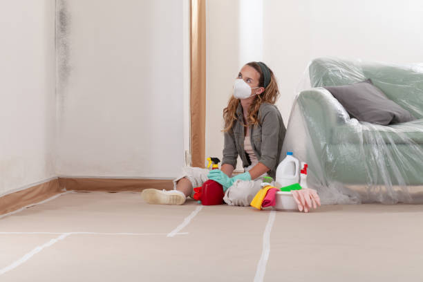 Reliable Black Mold Removal contractor in Taneytown, MD by WQB Mold Removal